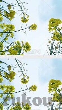大满贯老虎水果机下载-大满贯老虎水果机下载，娱乐与风险并存